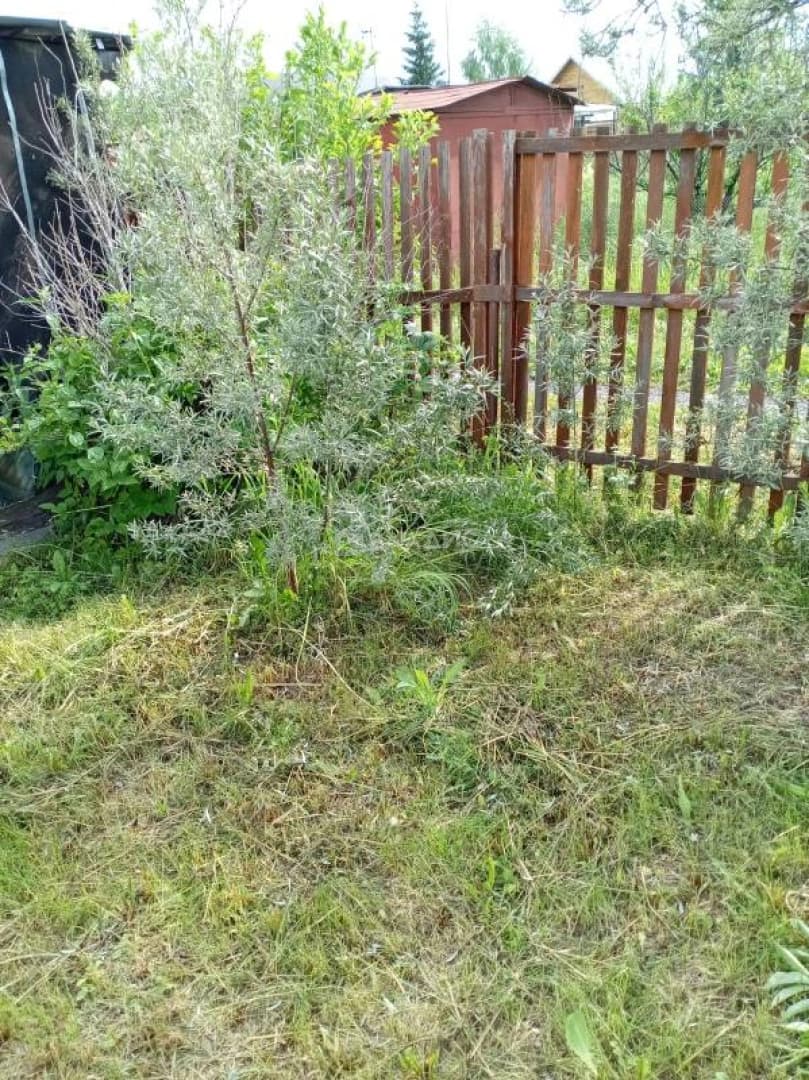 Photo 24