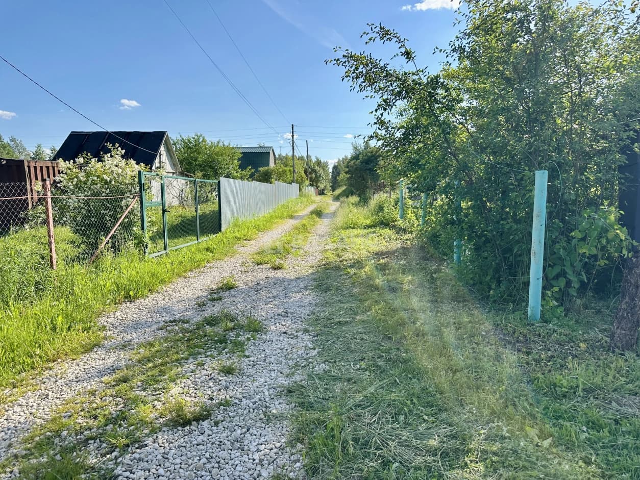 Photo 15