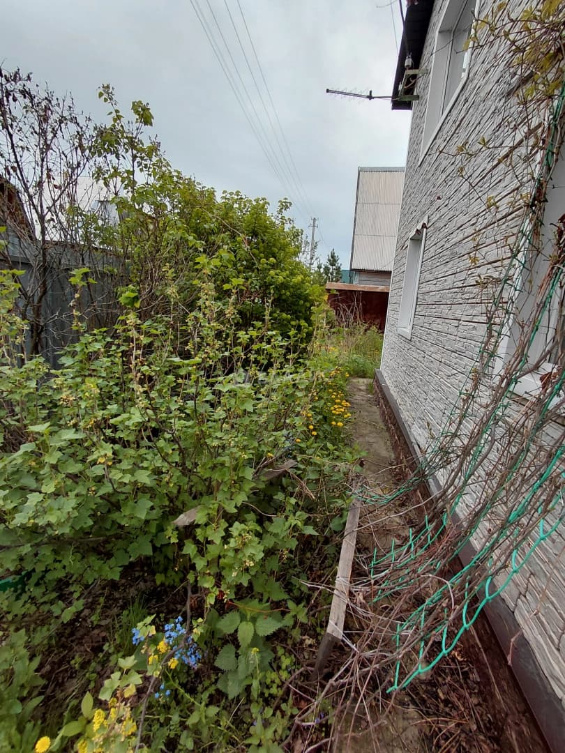 Photo 22