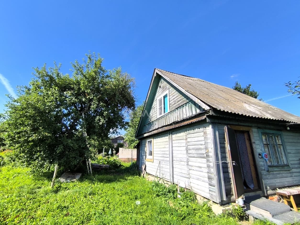 Photo 15