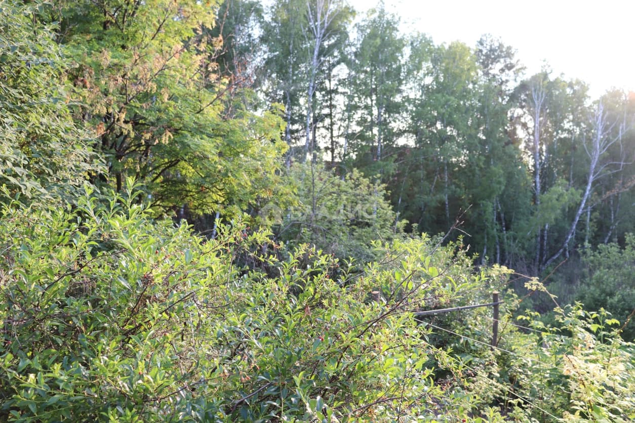 Photo 41