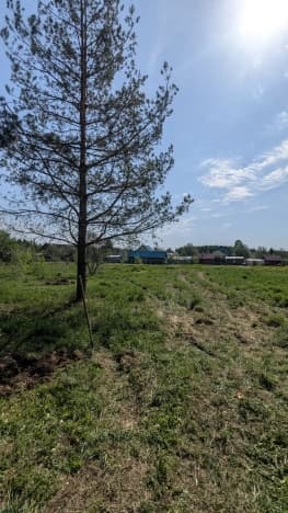 Купить земельный участок в Муниципальном Округе Сокольском в Нижегородской области. Вариант № 2181627, 0, площадь - квм, цена 450000 рублей