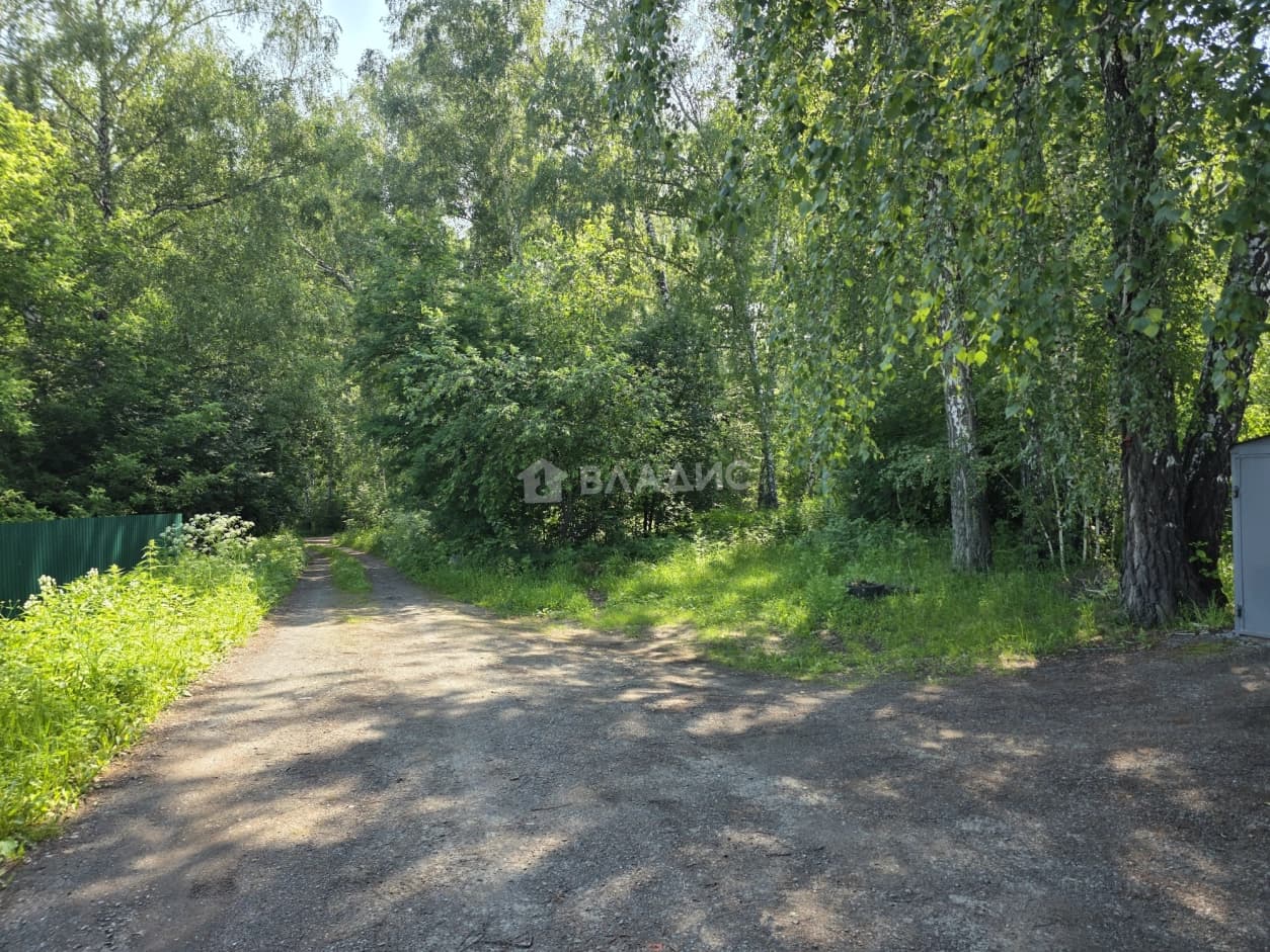Photo 31