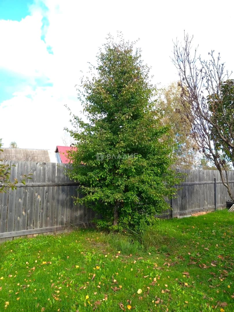 Photo 32