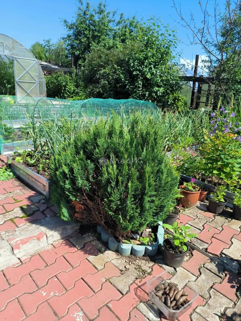 Photo 28