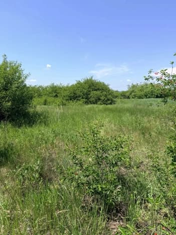 Купить земельный участок в Посёлоке Дубовом в Белгородском Муниципальном Округе в Микрорайоне Южный, посёлок Дубовое в Белгородской области. Вариант № 2209942, 1, площадь - квм, цена 450000 рублей