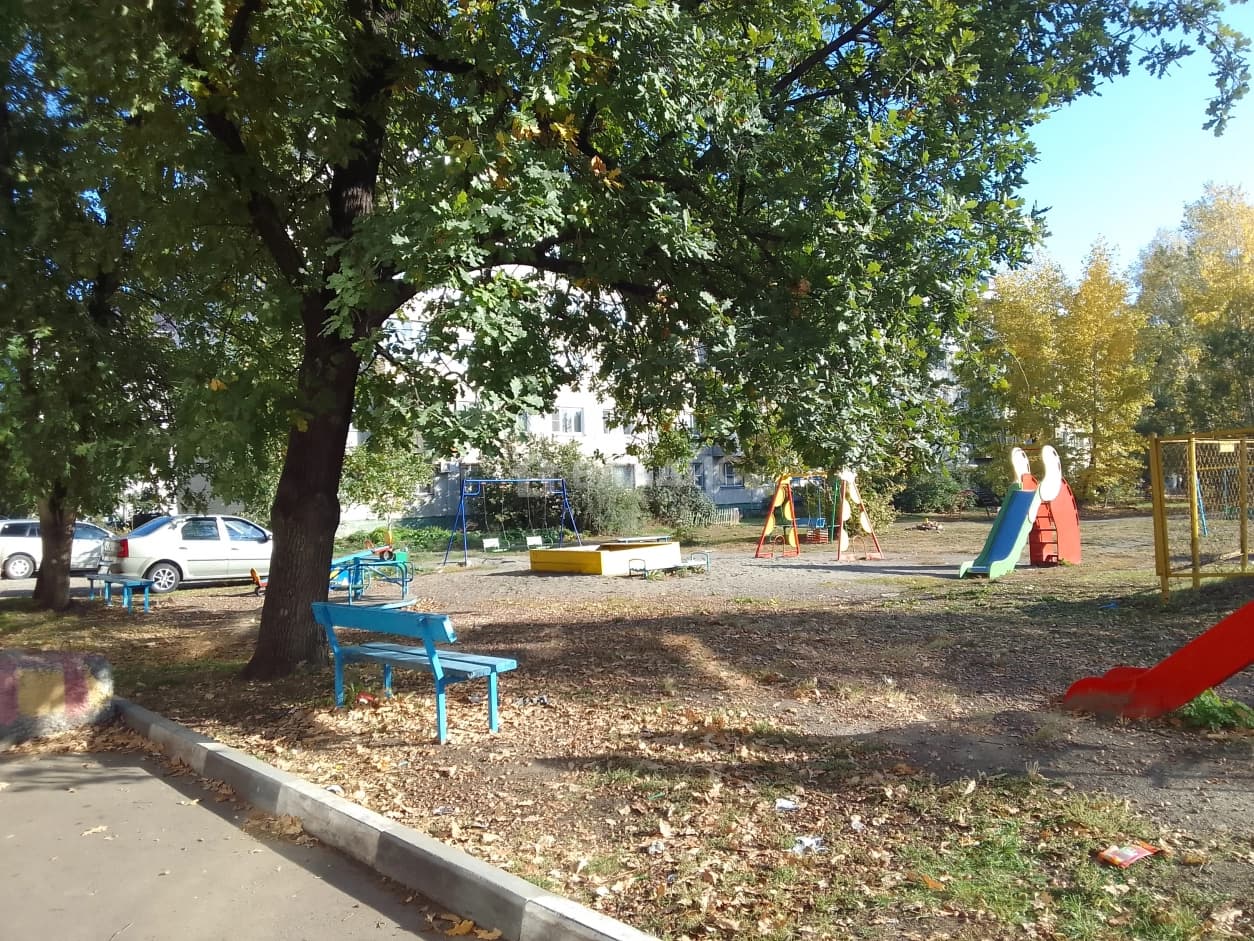 Photo 12
