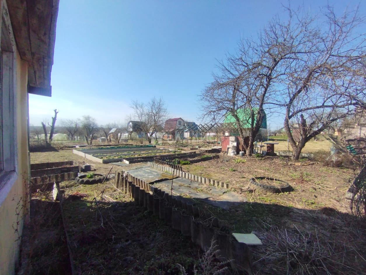 Photo 23
