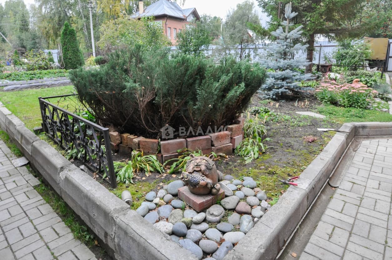Photo 41