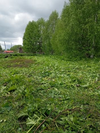 Купить земельный участок в Архангельской области. Вариант № 2231766, 1, площадь - квм, цена 310000 рублей