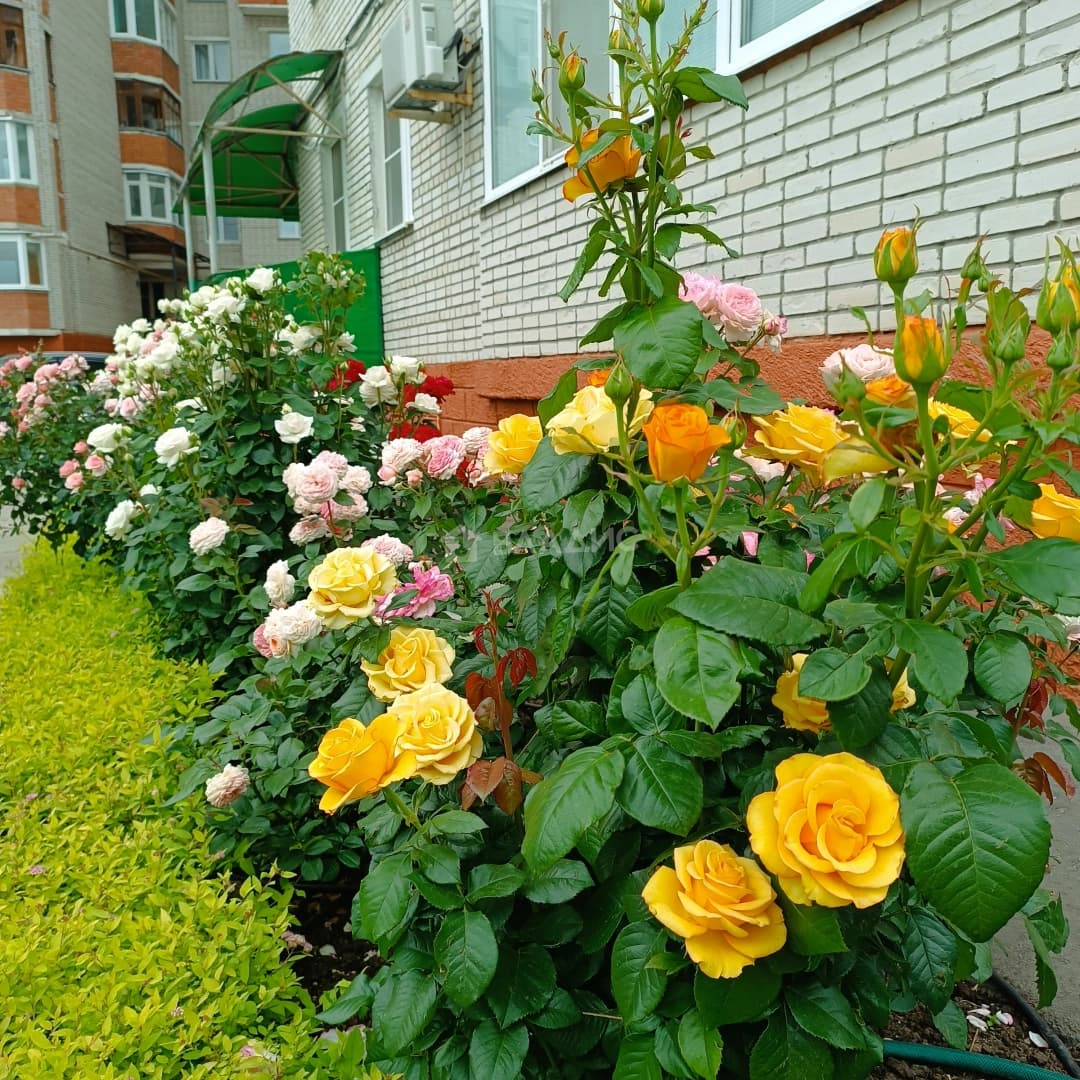 Photo 39