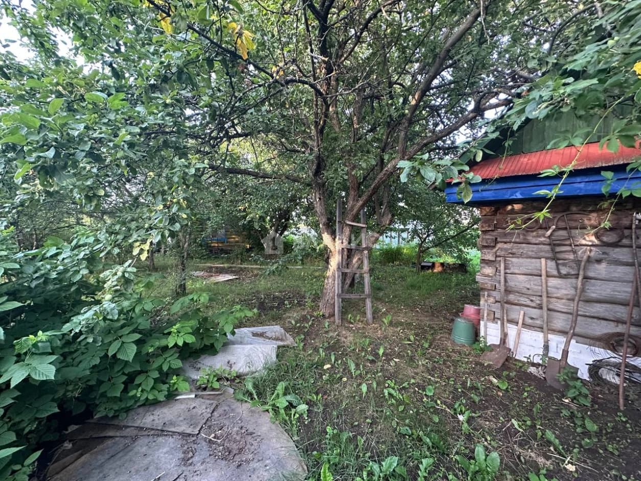 Photo 17
