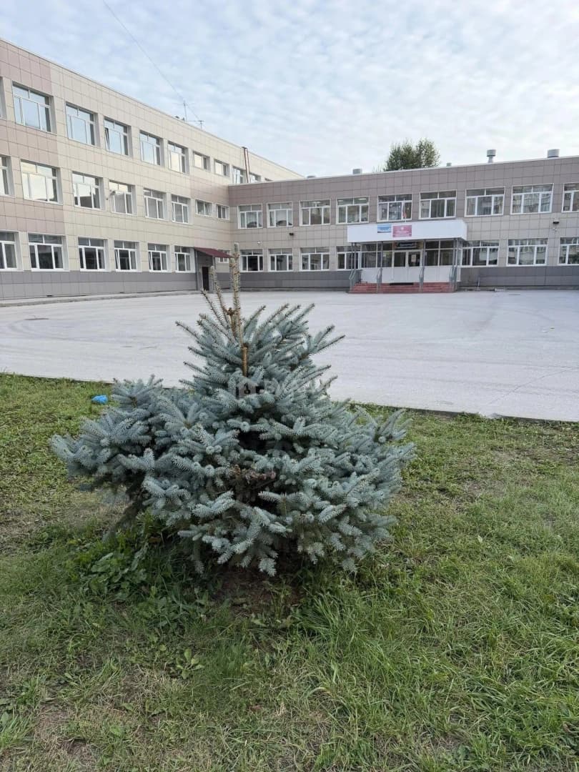 Photo 33