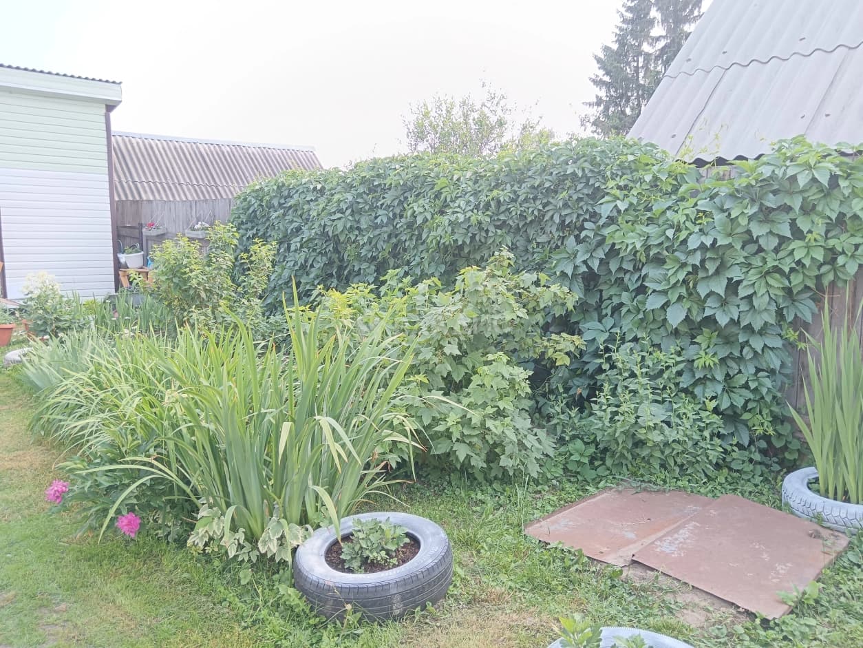 Photo 28