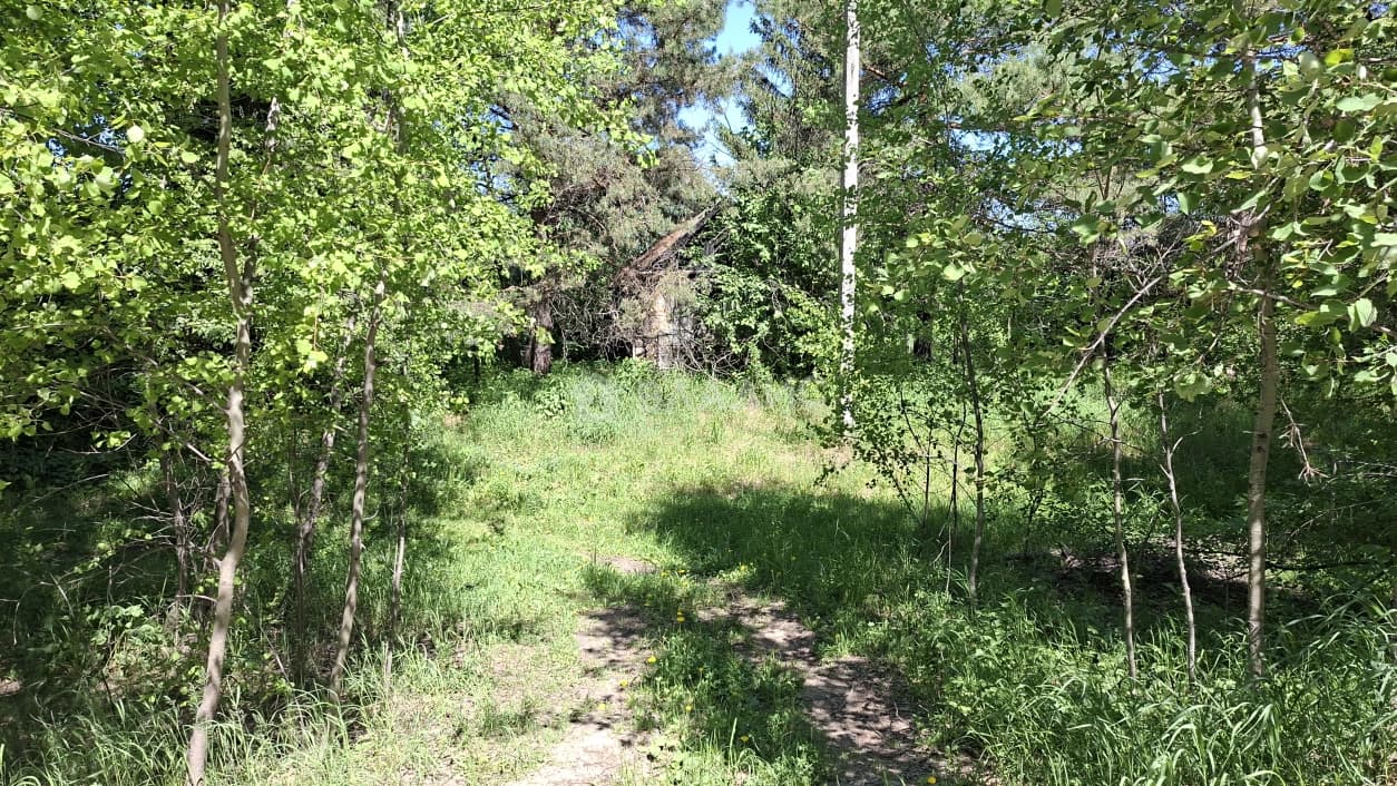 Photo 17