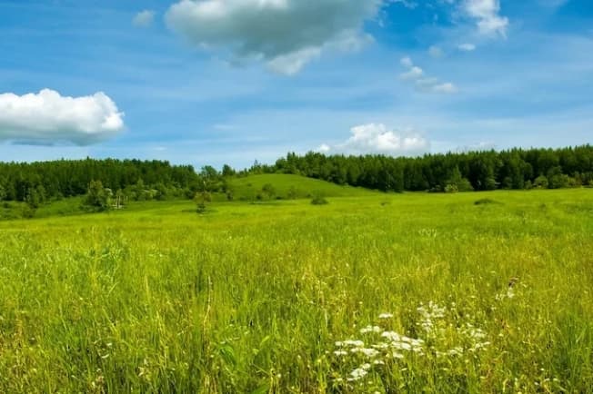 Купить земельный участок в Деревне Старом Аннине в Петушинском Муниципальном Округе в Владимирской области. Вариант № 2350208, 1, площадь - квм, цена 900000 рублей