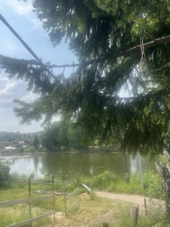 Купить двухкомнатную квартиру площадью 34 кв.м в Бердске. Вариант № 2230636, 0, площадь - квм, цена 750000 рублей