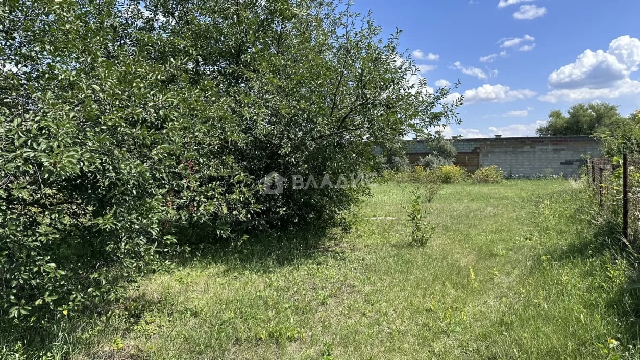 Photo 20