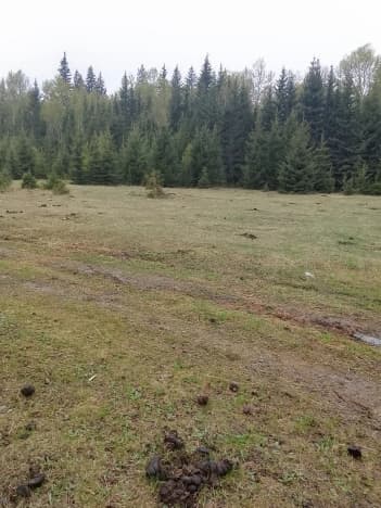 Купить земельный участок в селе Баклаши в Шелеховском районе в Иркутской области. Вариант № 2159592, 1, площадь - квм, цена 550000 рублей