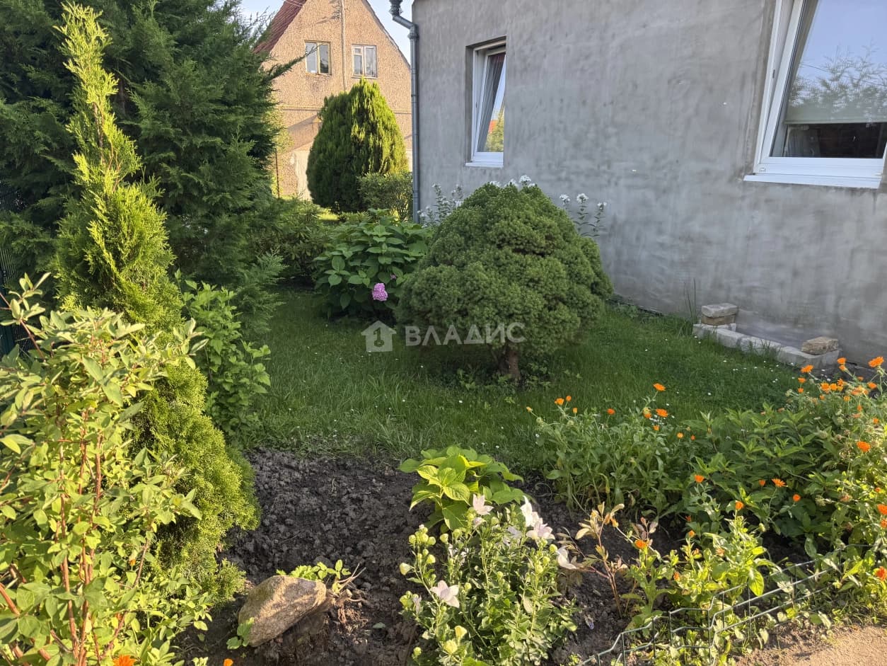 Photo 37