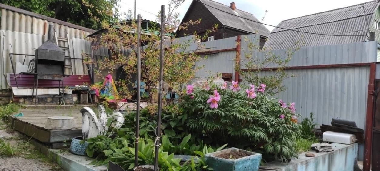 Photo 17