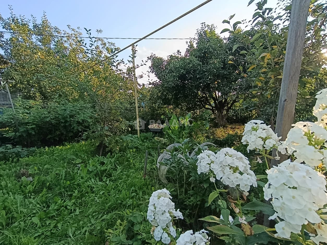 Photo 47