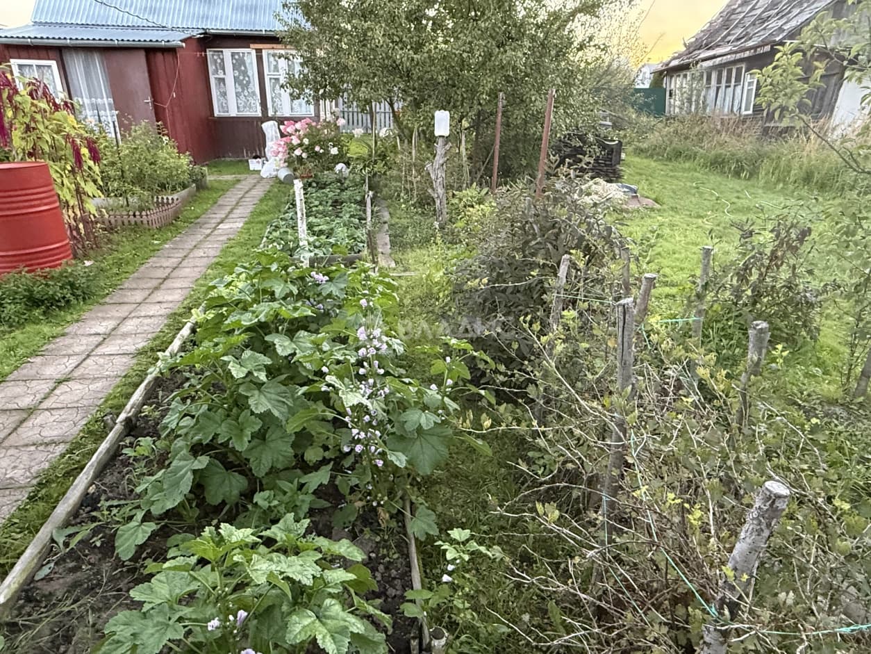 Photo 24