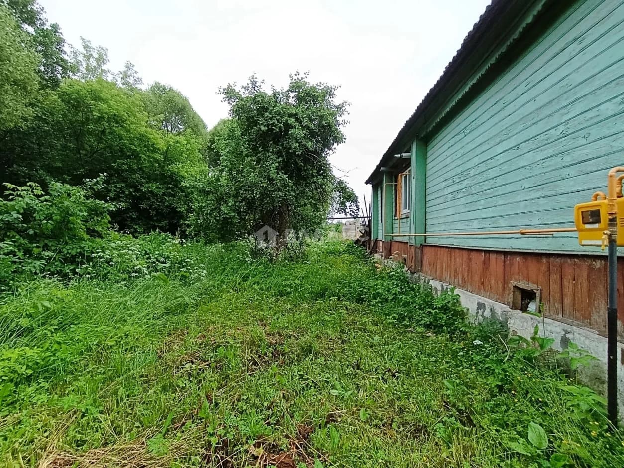 Photo 44