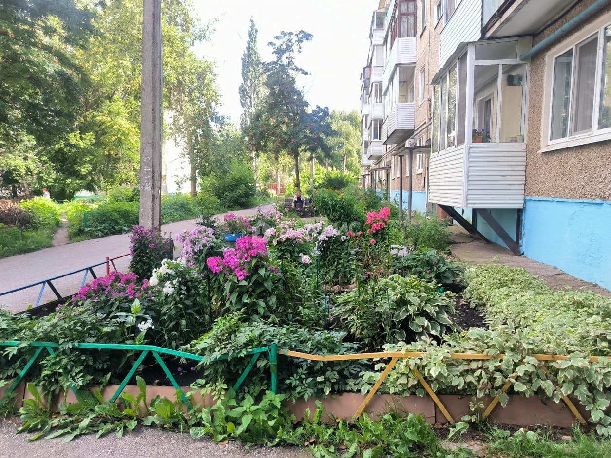 Photo 15