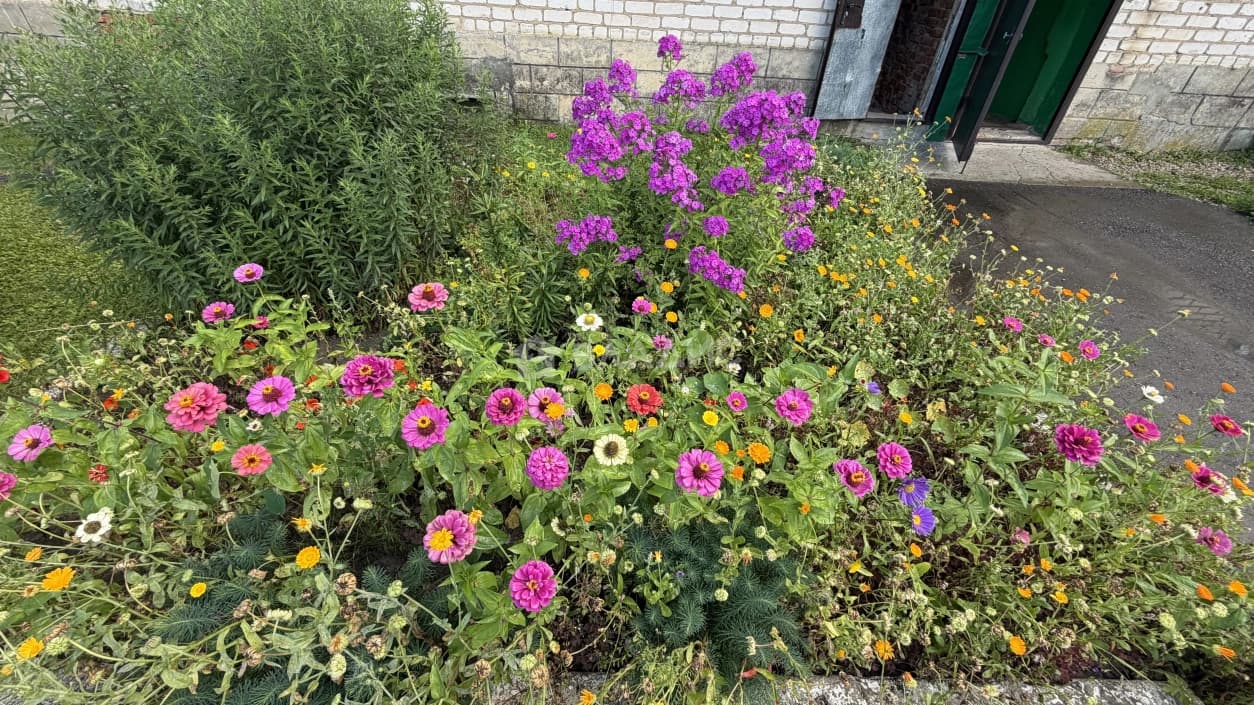 Photo 16