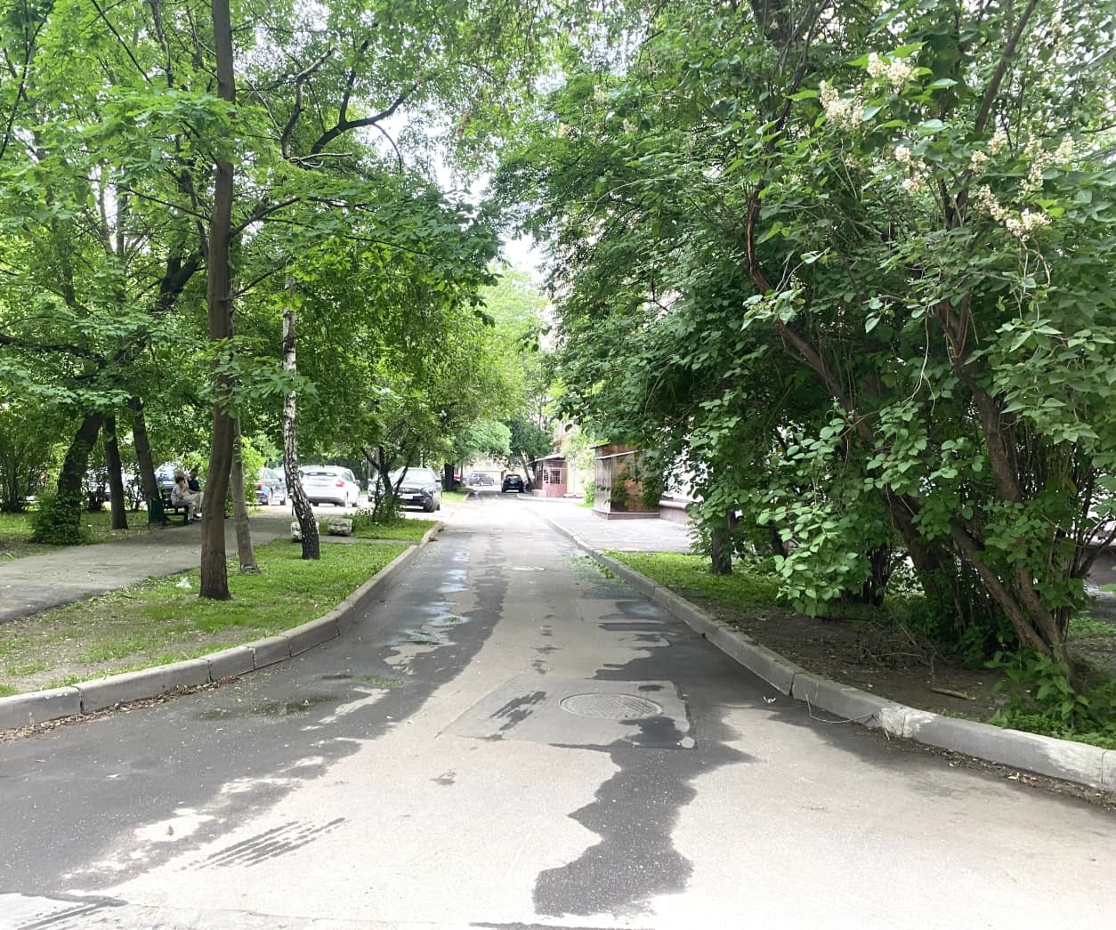 Photo 41