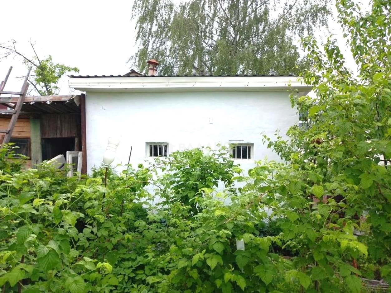 Photo 23