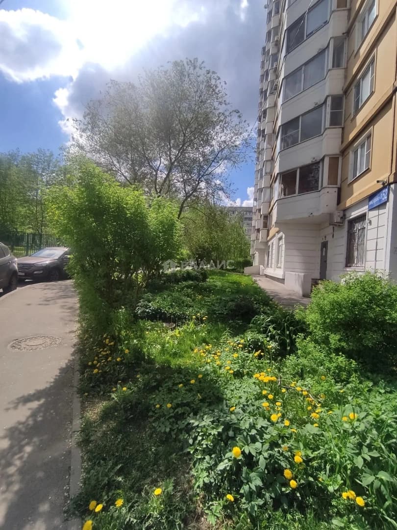 Photo 46