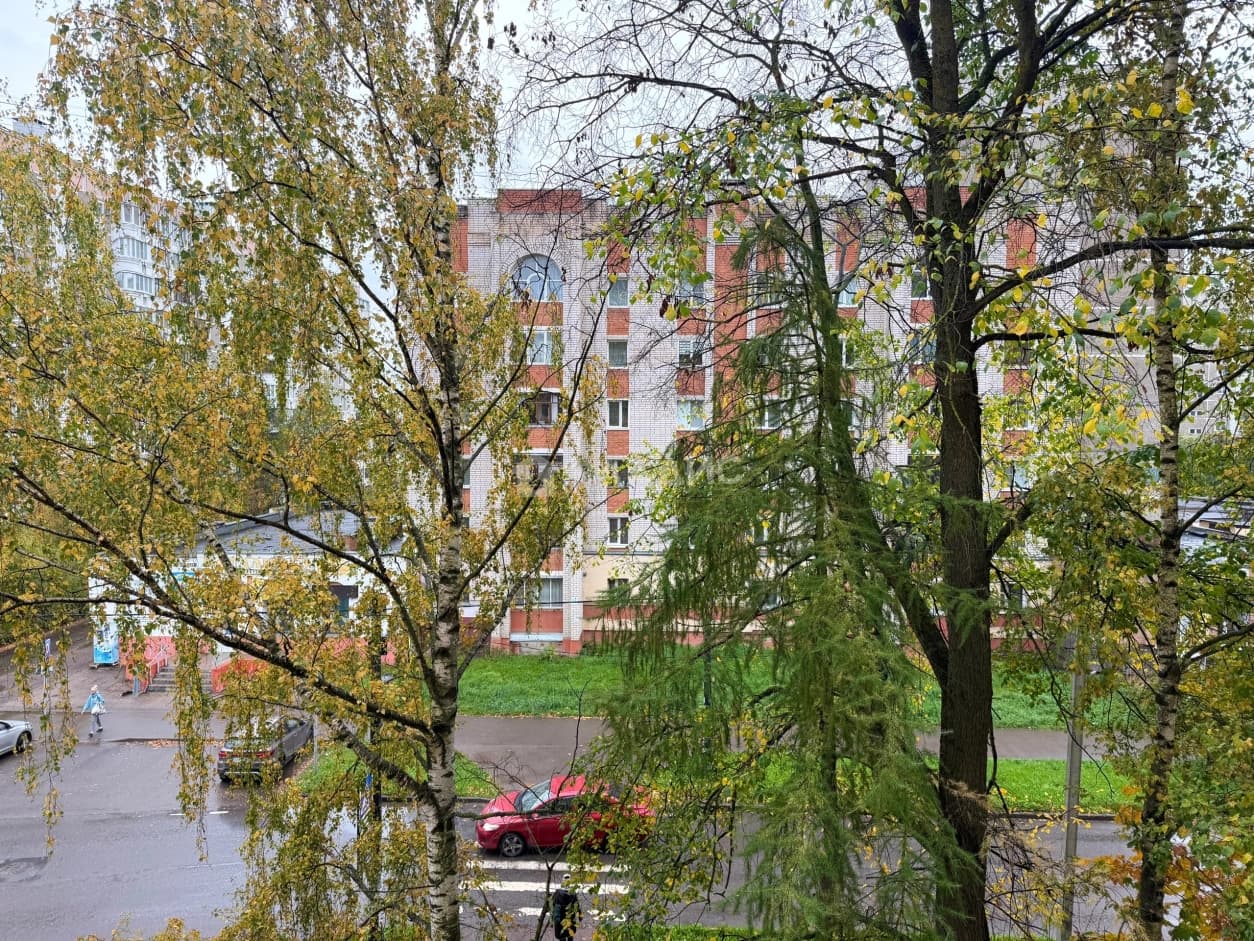 Photo 23