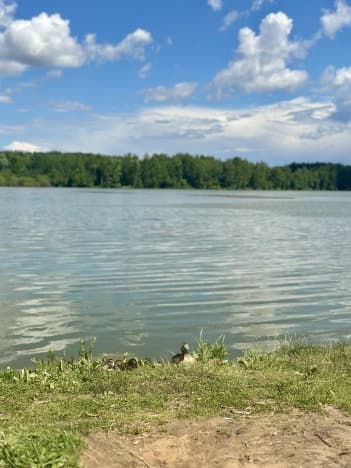 Купить дом у метро Новопеределкино в Москве. Вариант № 2160999, 1, площадь - квм, цена 12500000 рублей