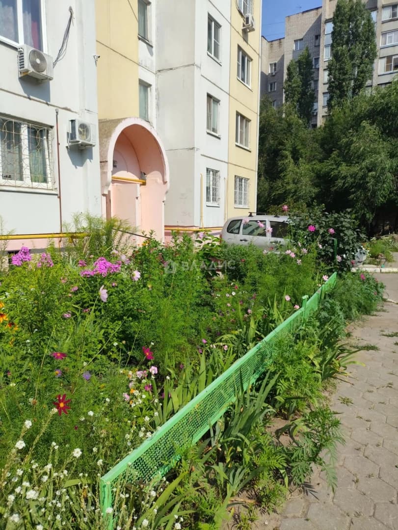 Photo 20