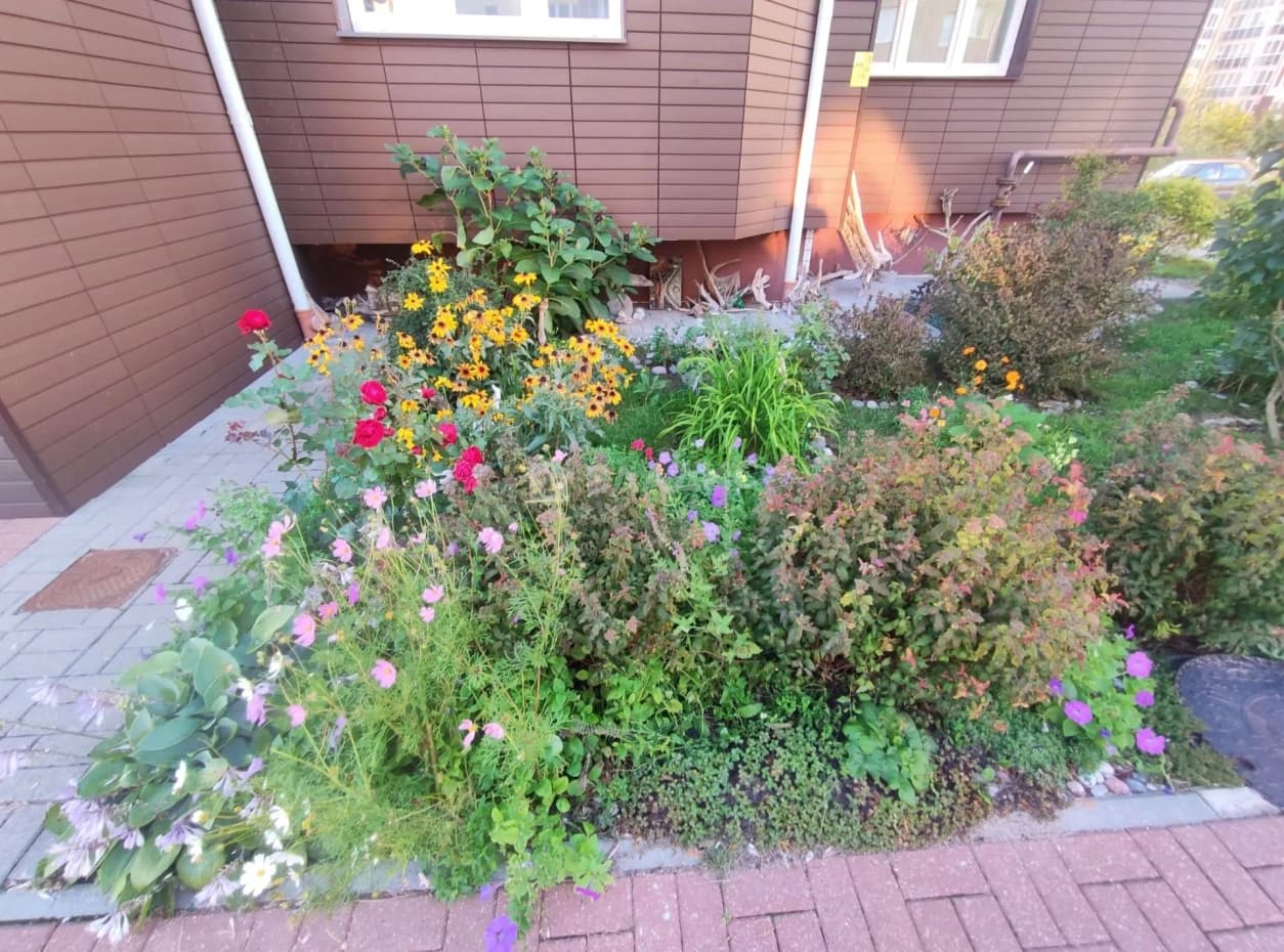 Photo 13