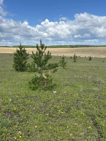 Купить земельный участок в селе Урик в Иркутском районе в Иркутской области. Вариант № 2076772, 0, площадь - квм, цена 230000 рублей
