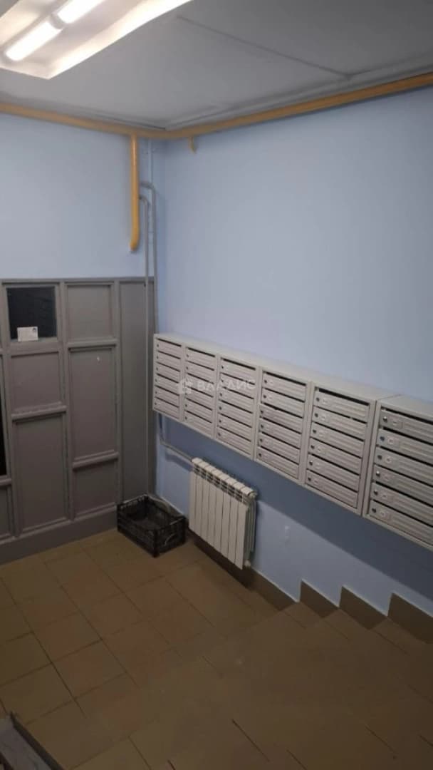 Photo 11