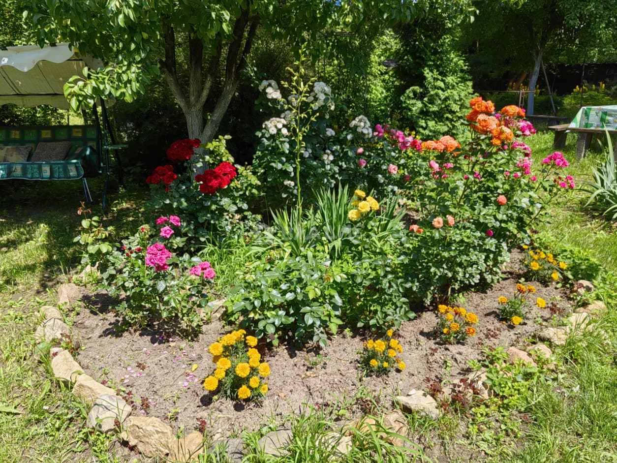 Photo 25