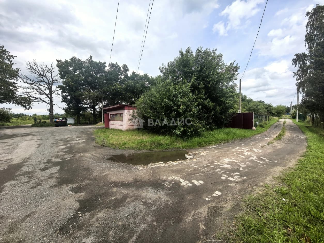 Photo 43