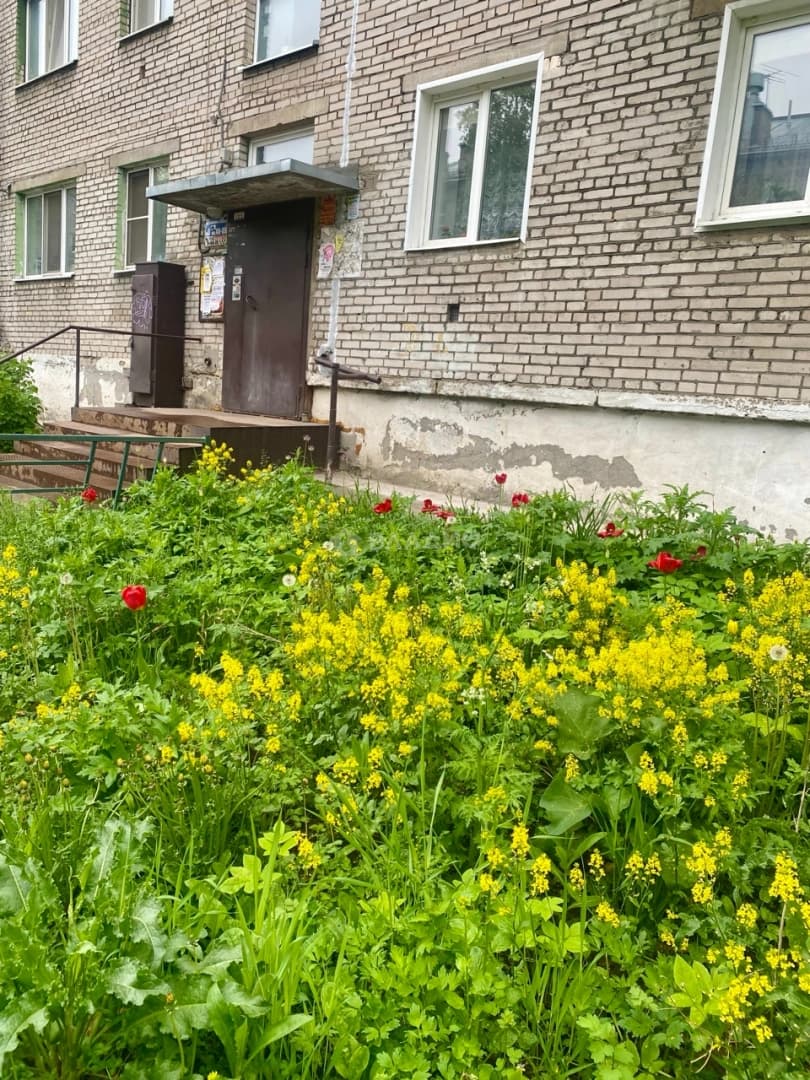 Photo 22