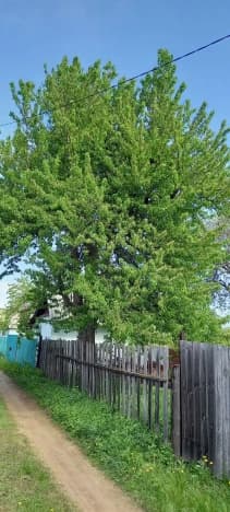 Купить дачу на улице 4-я Дачная в Балакове. Вариант № 2367654, 1, площадь - квм, цена 550000 рублей