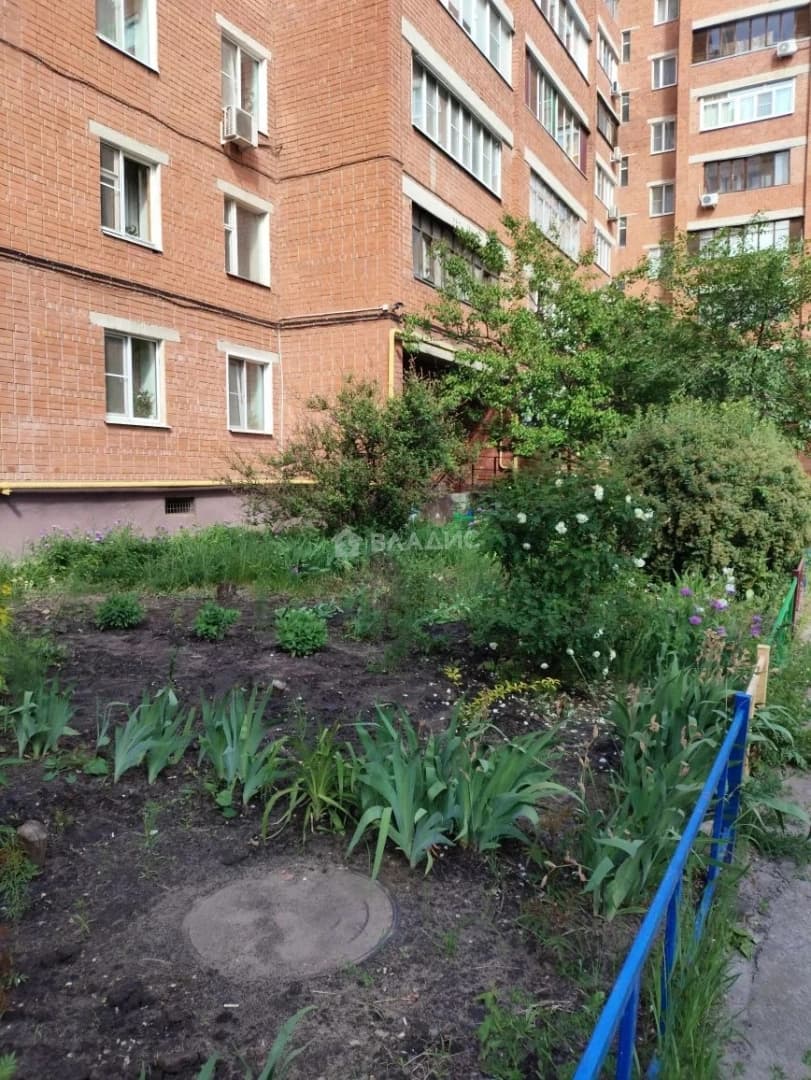 Photo 23