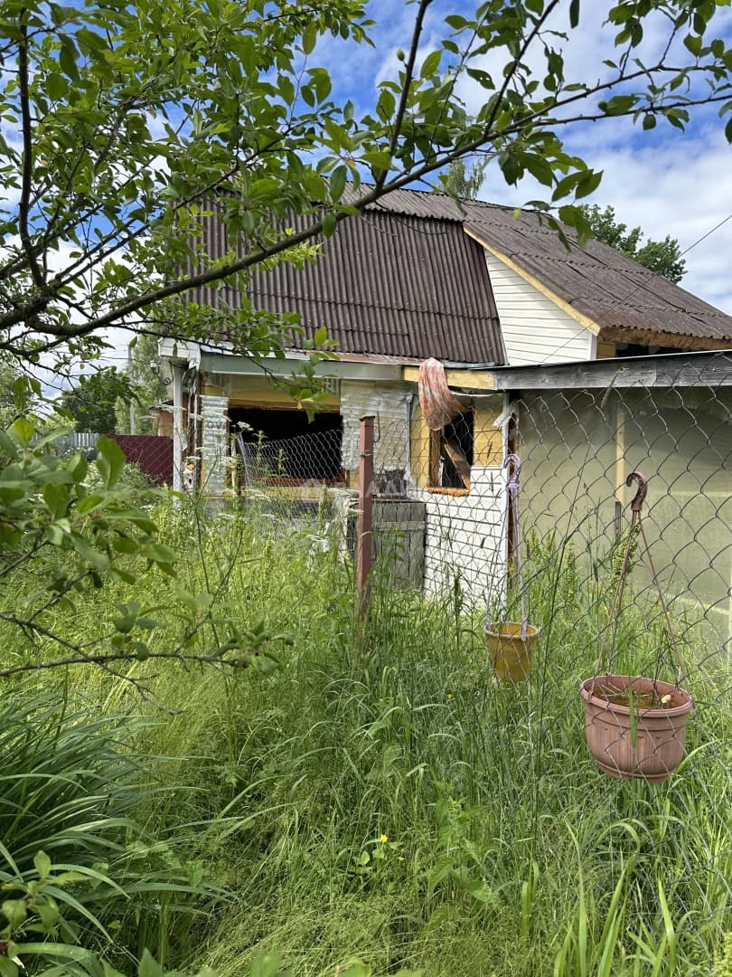 Photo 9
