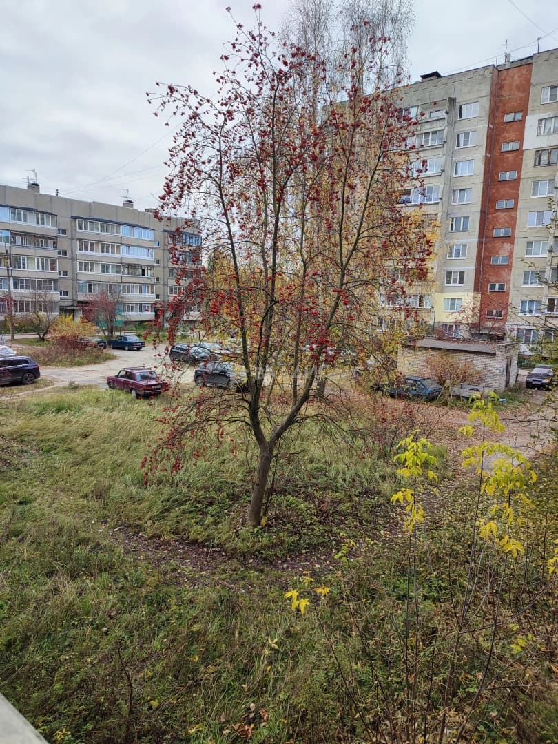 Photo 9