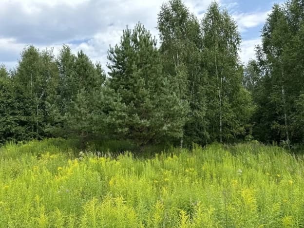 Купить земельный участок в Муниципальном Округе Сокольском в Нижегородской области. Вариант № 2158587, 0, площадь - квм, цена 470000 рублей