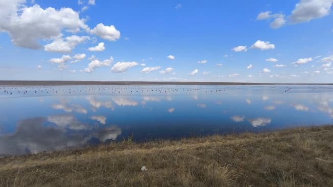 Купить земельный участок в селе Приветное в Муниципальном Округе Алуште на улице Морская , село Приветное в Республике Крым. Вариант № 1758041, 0, площадь - квм, цена 180000000 рублей