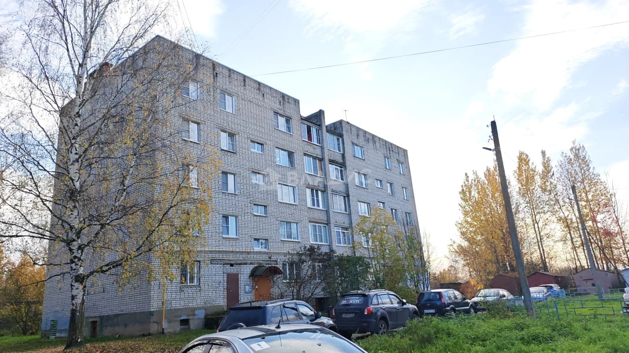 Photo 41