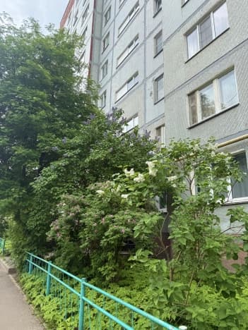 Купить квартиру на вторичке в Рабочом Посёлоке Шексне в Шекснинском Муниципальном Округе в Микрорайоне Шексна-1, рабочий посёлок Шексна в Вологодской области. Вариант № 2200873, 0, площадь - квм, цена 3600000 рублей